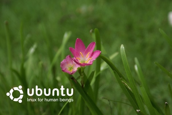 Ubuntu 13.10 Wallpaper Contest is On
