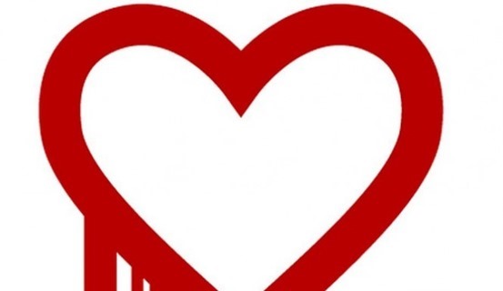 Heartbleed, The Trendy Security Bug